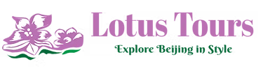 Lotus Logo